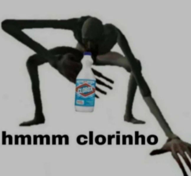 Arquivo:Quinha.jpeg